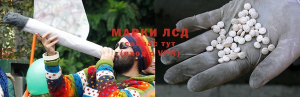 дживик Богородск