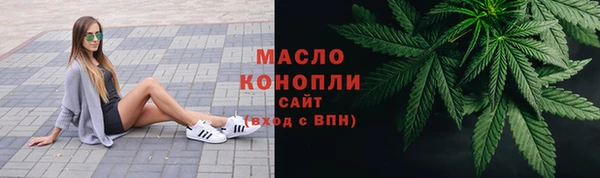 дживик Богородск