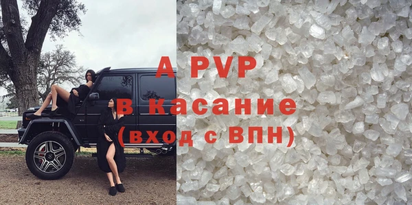 прущие крисы Богданович