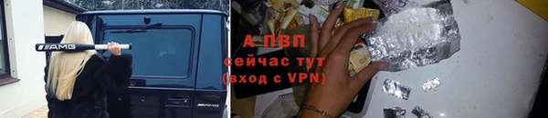 прущие крисы Богданович