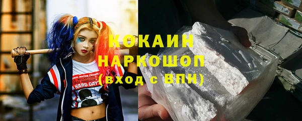 дживик Богородск