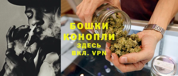 прущие крисы Богданович