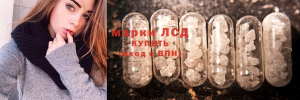 дживик Богородск