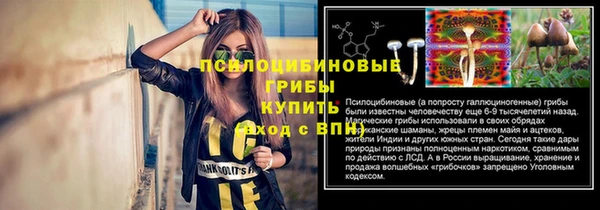 дживик Богородск