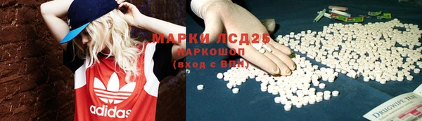 дживик Богородск